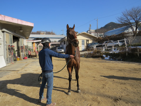 블랙사탕 사진