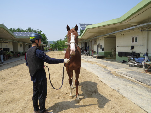 태기산킹 사진