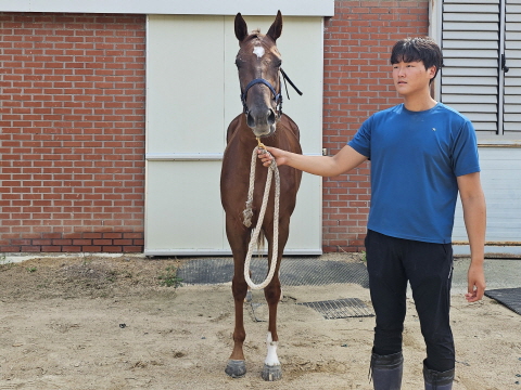 시애틀드림 사진