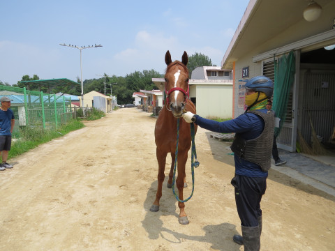 나이스위너 사진