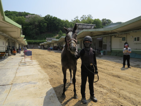 그레이팬텀 사진