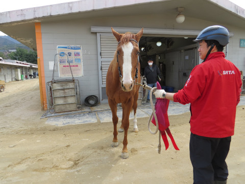 이클립스마블 사진