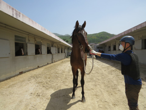 이클립스블랙 사진