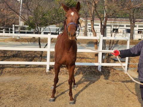 무적비행 사진