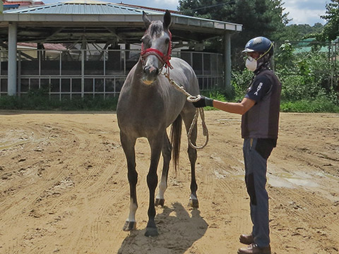 호명퀸 사진