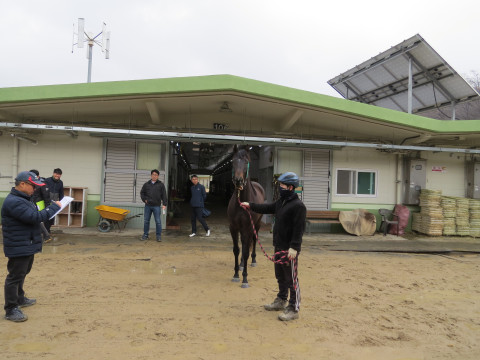 엑설런트한센 사진