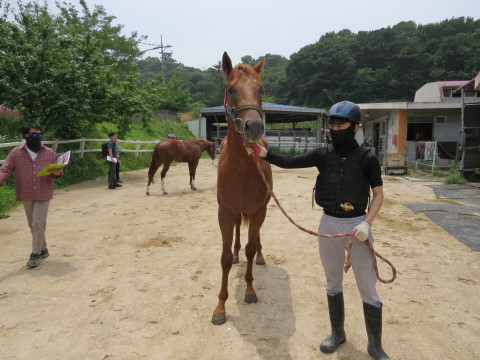 영광의스카이 사진
