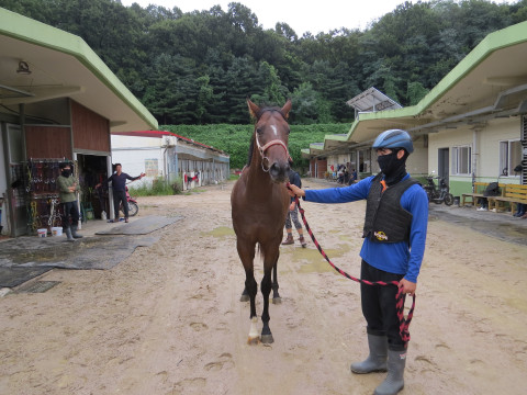 그랜드골드 사진