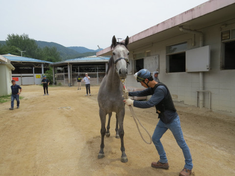 모닝원더 사진
