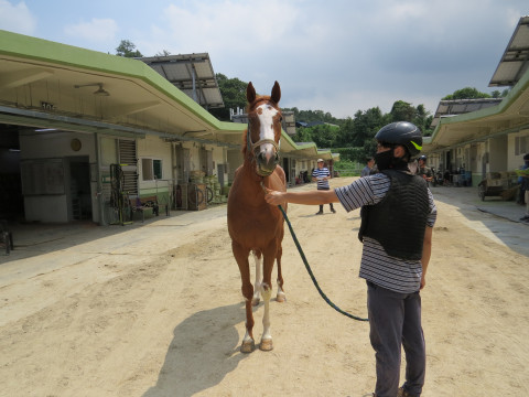 두레이쇼 사진