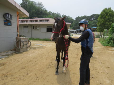 탭딘 사진