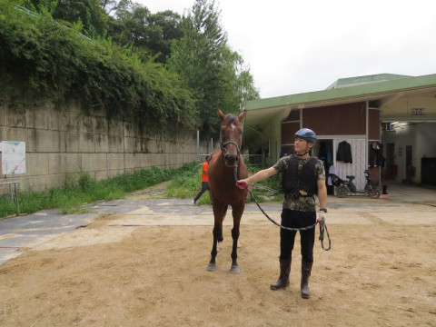 금성보스 사진