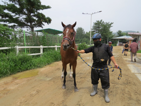 그냥가라 사진