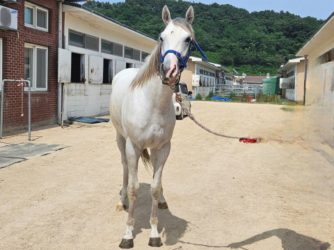 희망타요 사진