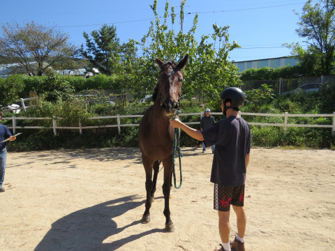 미스터도르 사진
