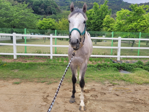 닥터솔라 사진