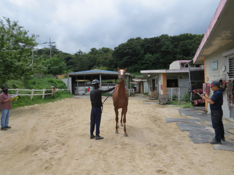 마스터콰이곤 사진