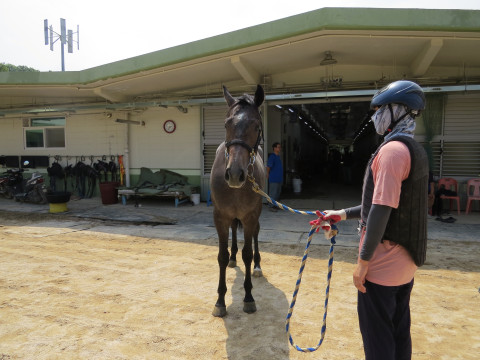 자이언트보스 사진
