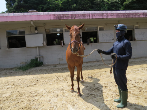 위버멘쉬 사진