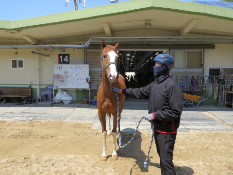 거센폭주 사진