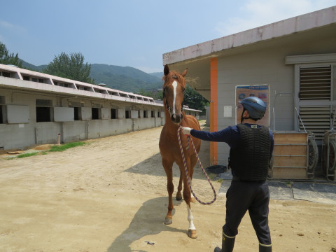 파사킹 사진