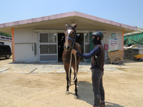 라이징모 사진