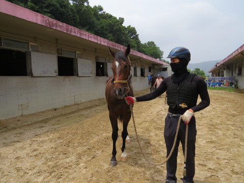 내게로와줘 사진