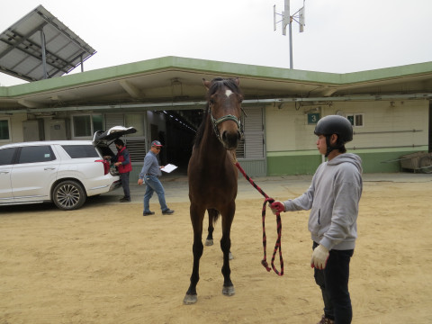 케이파워풀 사진