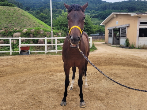 닥터매터스 사진