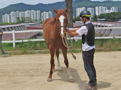 봉화스테이 사진