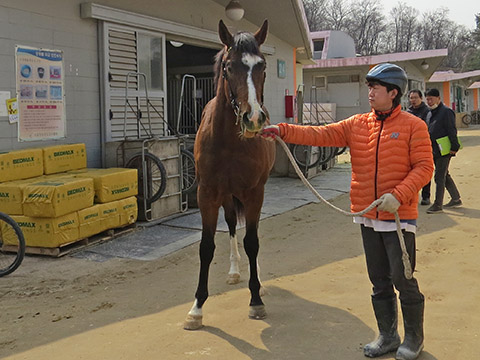 아이엠짱 사진