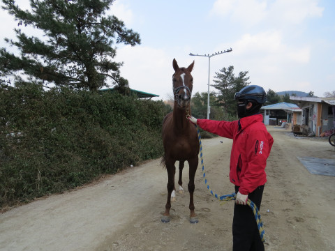 청강겨울 사진