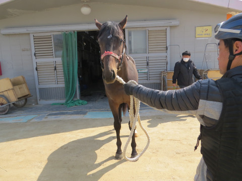 파워질주 사진