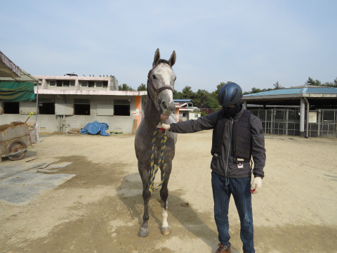 마이돌풍 사진
