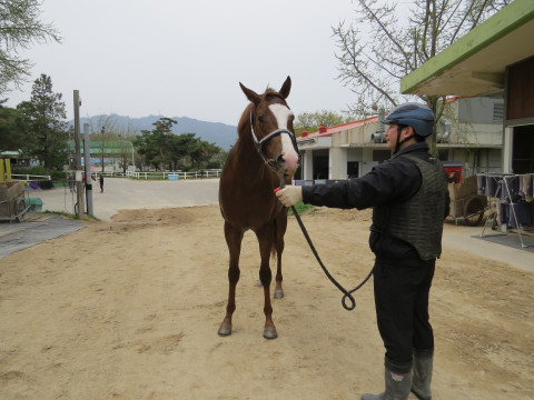 빈센트알렉스 사진