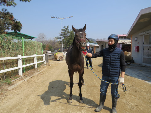 일루전포스 사진