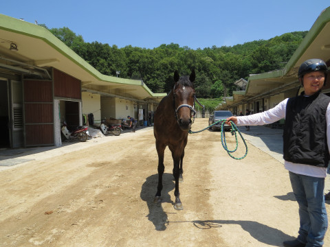 브리도칼리 사진