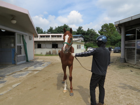 브라운잭팟 사진