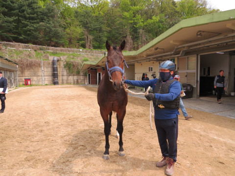 라온블레이드 사진