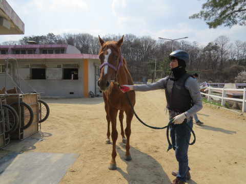 이안퍼펙트 사진