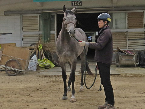 스퍼트빗 사진