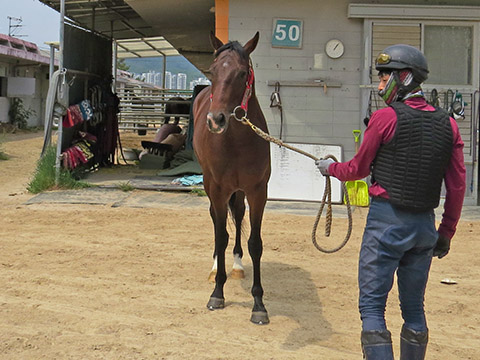 엔딩파이어 사진