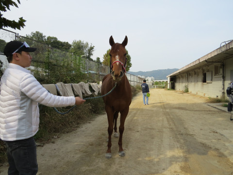 제이에스러브 사진