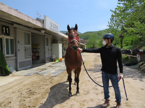 캡마왕 사진