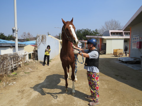거센펀치 사진