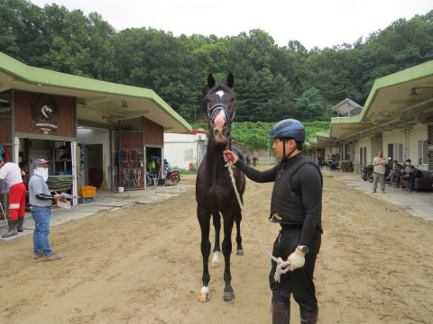바람개비 사진