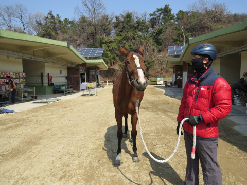 카오스 사진