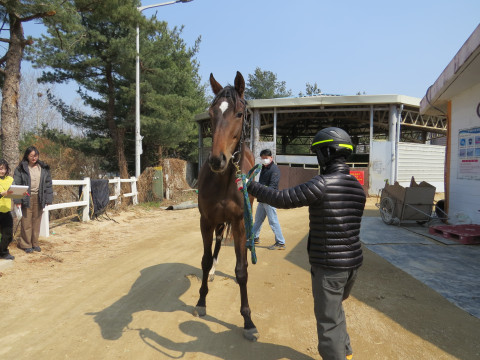 고주일척 사진