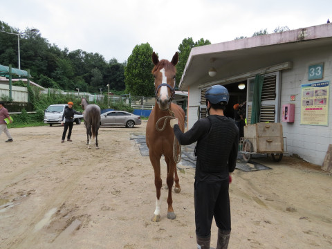 스톰크러시 사진