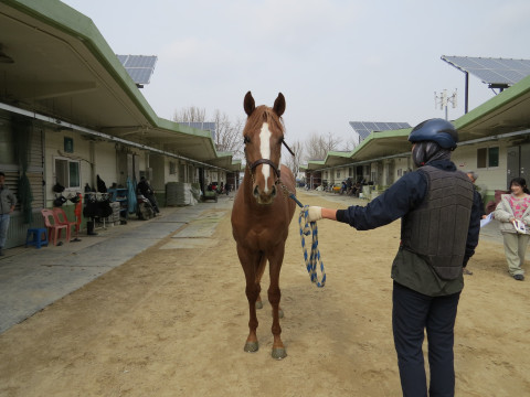 용비신화 사진